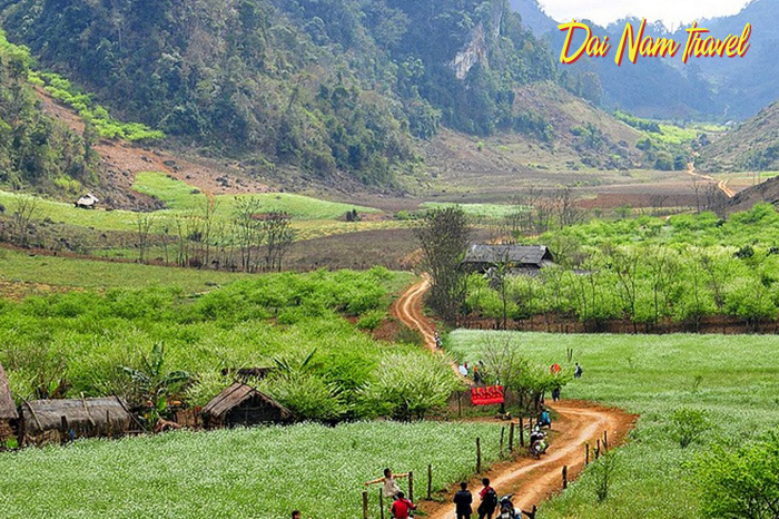 Tour Hà Nội – Mộc Châu – Săn Mây Trên Đỉnh Tà Xùa 2N1Đ - 2